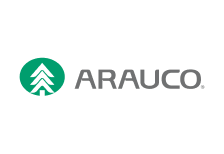 arauco